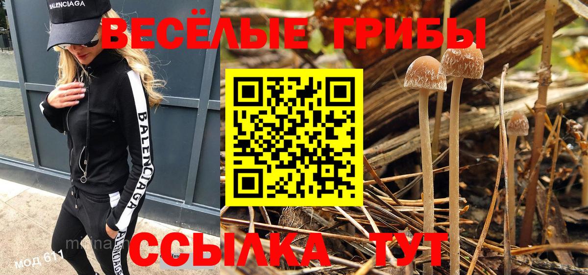 Галлюциногенные грибы Cubensis  Вход с VPN  Псилоцибиновые грибы Psilocybe  где продают   Знаменск 